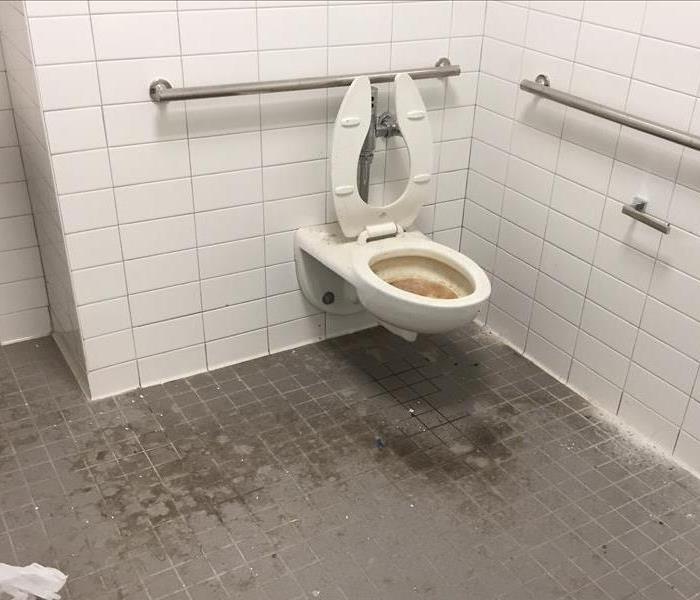 sewage backup bathroom
