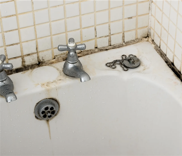 Mold in the bathroom